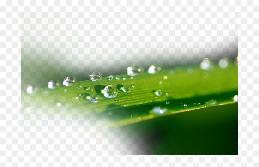Water Splash Transprent Png Free Download - Portable Network Graphics, Transparent Png - green water splash png