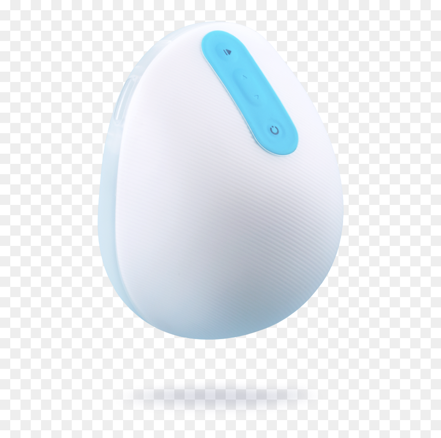 Circle , Png Download - Circle, Transparent Png - willow png
