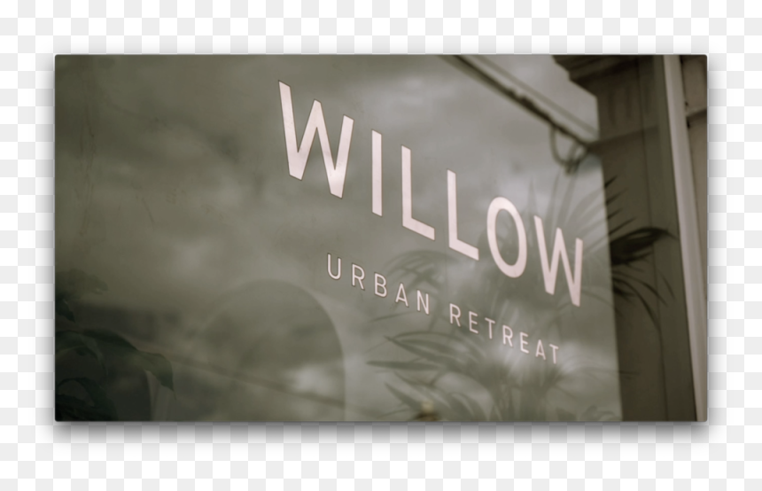 Screen Shot 2019 10 12 At, HD Png Download - willow png