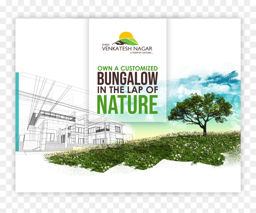 Tree, HD Png Download - shree png