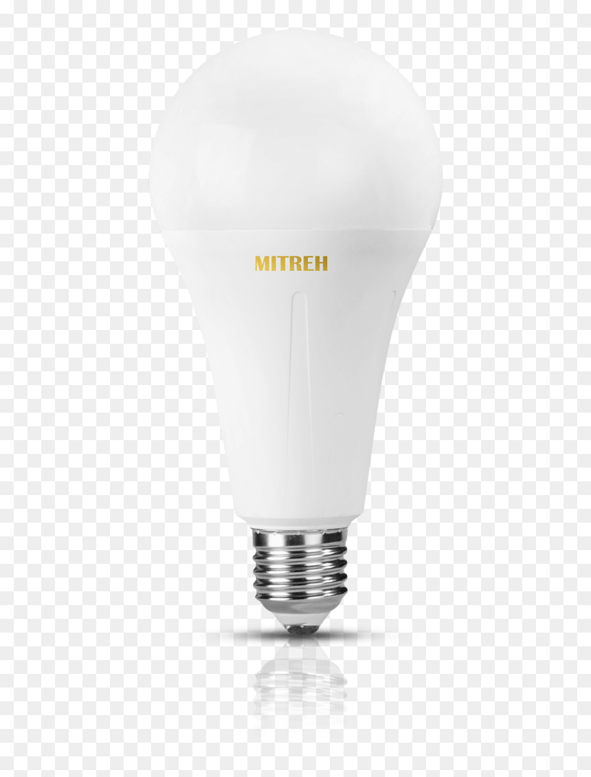 European Top Led Bulb Suppliers - Bulbs, HD Png Download - led bulbs png