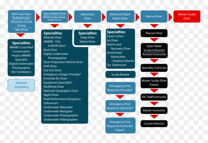 Padi Courses Lembongan Ceningandivers - Padi Level, HD Png Download - scuba diver png