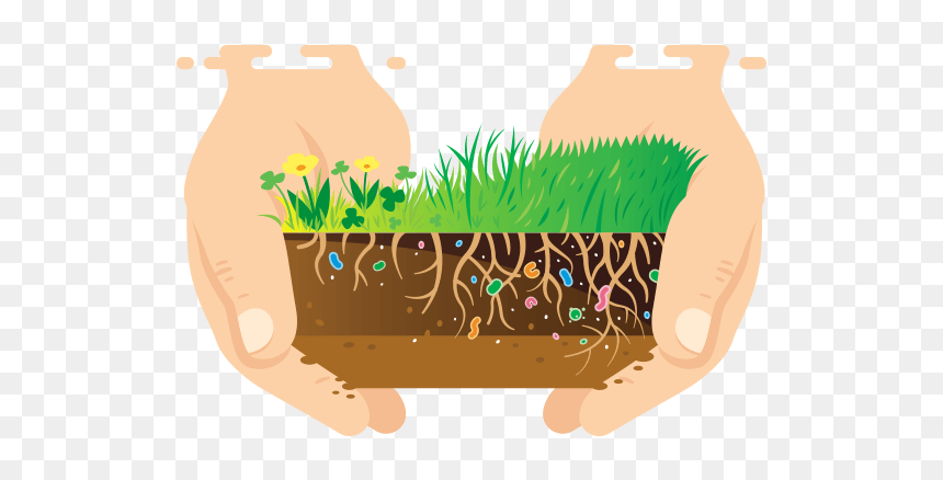 Illustration, HD Png Download - tick cross png