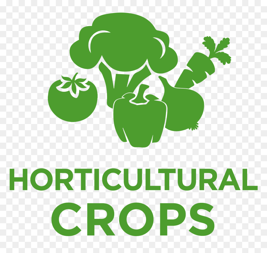 Dropshipping In 2020, HD Png Download - vegetables png icons