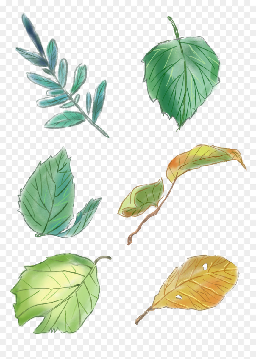 Original Hand Painted Green Leaves Set Drawings Png - Нарисованные Листья, Transparent Png - green leaf design png