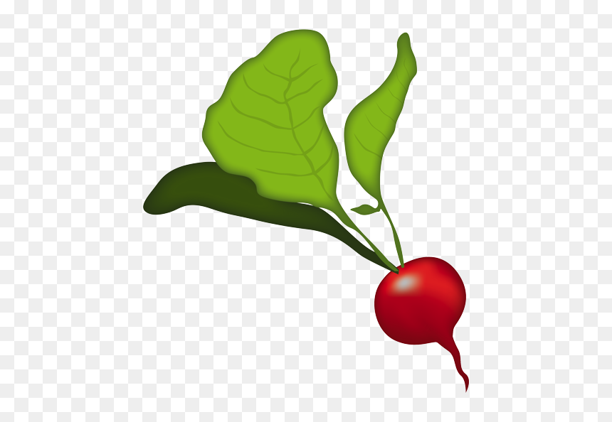 Radish, HD Png Download - vegetables png icons