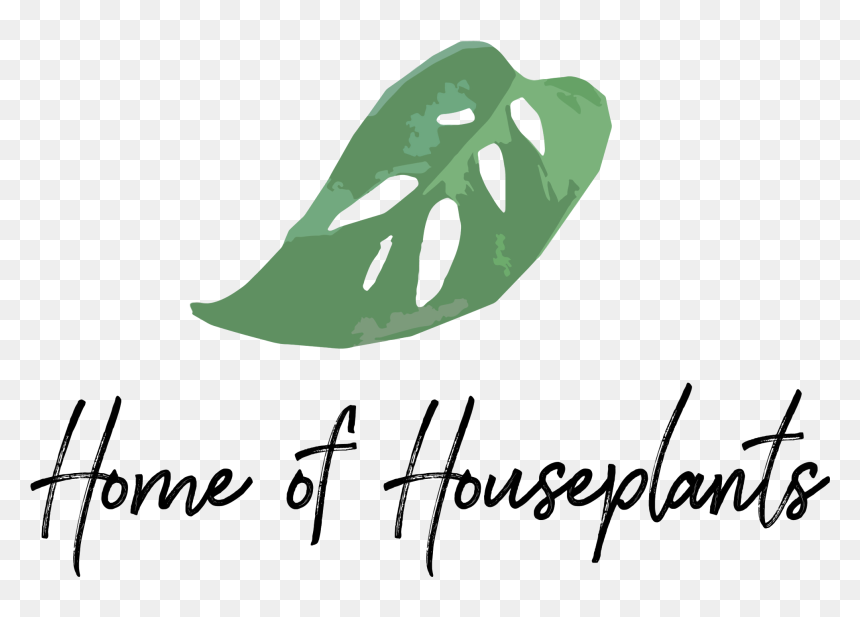 Images - House And Plant Logo, HD Png Download - indoor plants top view png