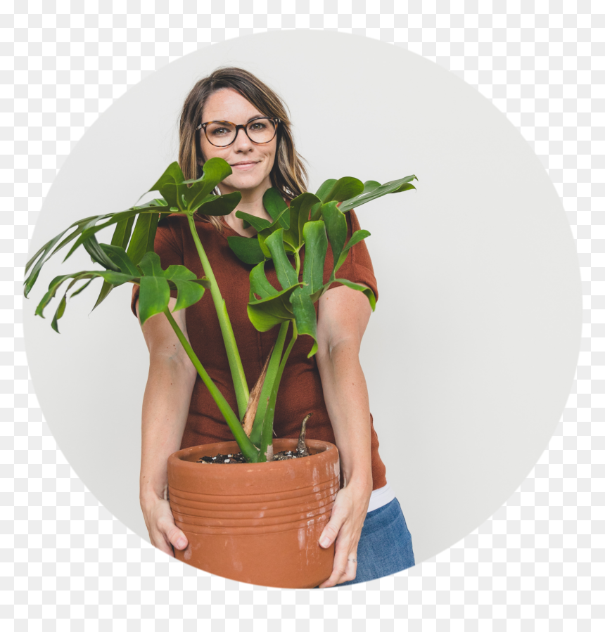 Clever Bloom Plants, HD Png Download - indoor plants top view png
