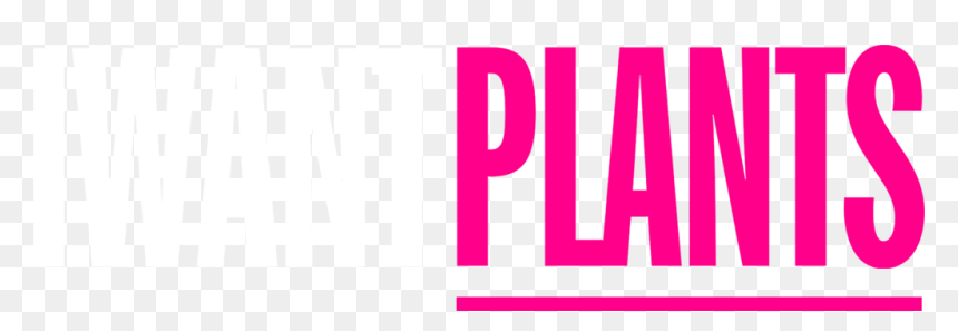 I Want Plants - Oval, HD Png Download - indoor plants top view png