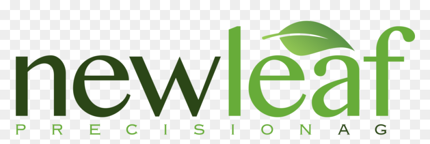 Green Leaf Design Png, Transparent Png - green leaf design png