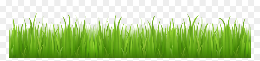 Imagenes Png - Grass Vector Free, Transparent Png - grass with flower background png