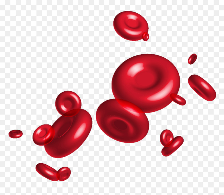 Red Blood Cells Png Clipart , Png Download - Red Blood Cells Clipart, Transparent Png - offer sticker png
