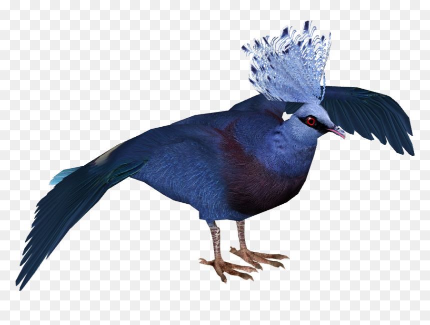 Victoria Crowned Pigeon - Picsart Pigeon Png Hd, Transparent Png - pegion png
