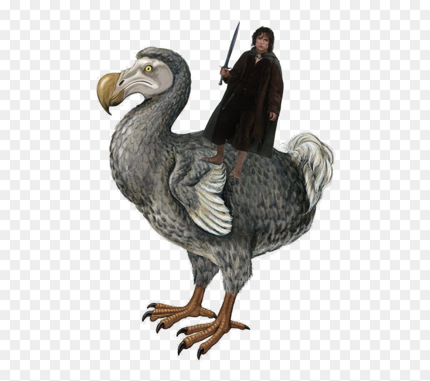 Now Get Ready For - Dodo Dinosaur, HD Png Download - pegion png