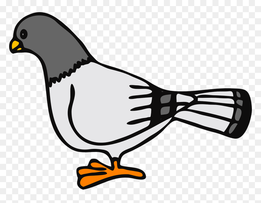 Cartoon Pigeon Clipart, HD Png Download - pegion png