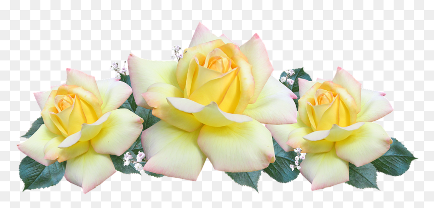 New Birthday Texts For Deceased Loved Ones - Mensaje Feliz Dia De La Mujer, HD Png Download - wedding wishes in tamil png