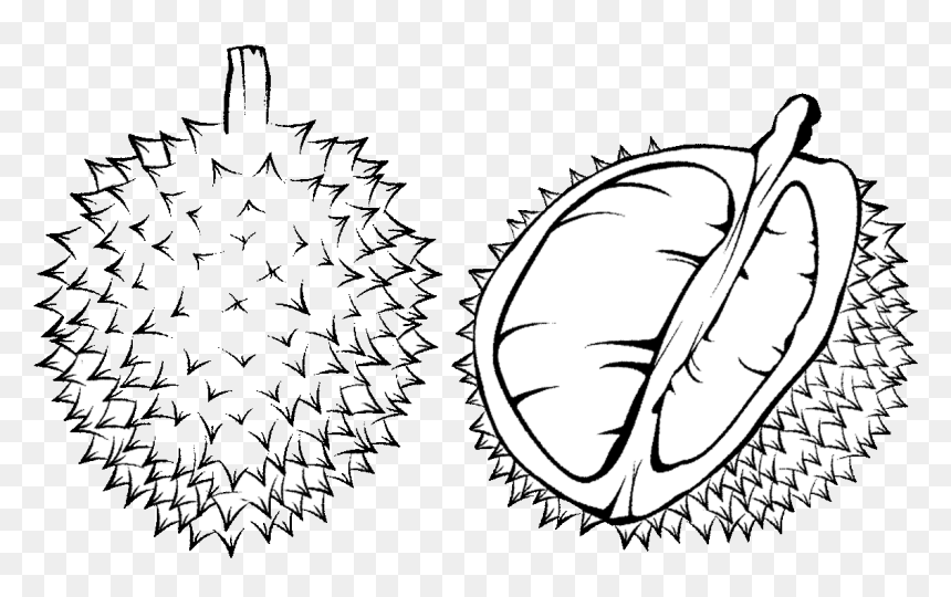 Thumb Image - Durian Black And White, HD Png Download - mango clipart png