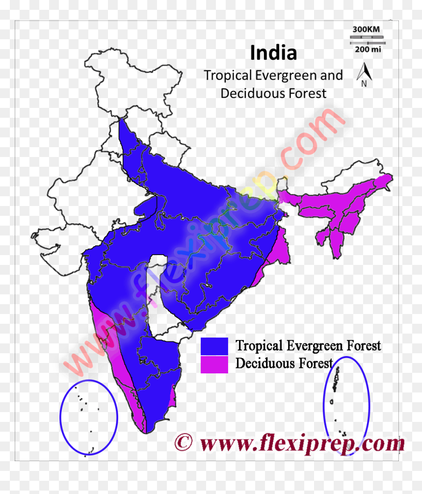 India Map Black And White, HD Png Download - india map png image