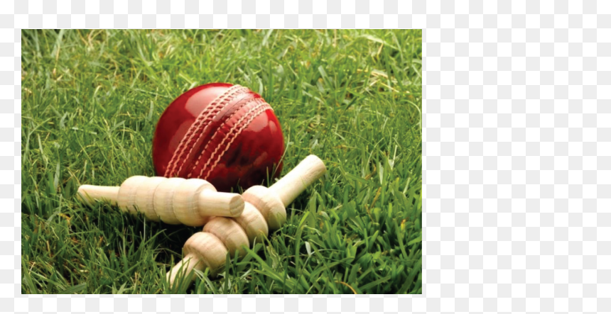 Cricket Photo Hd Hd, HD Png Download - plain cricket bat png