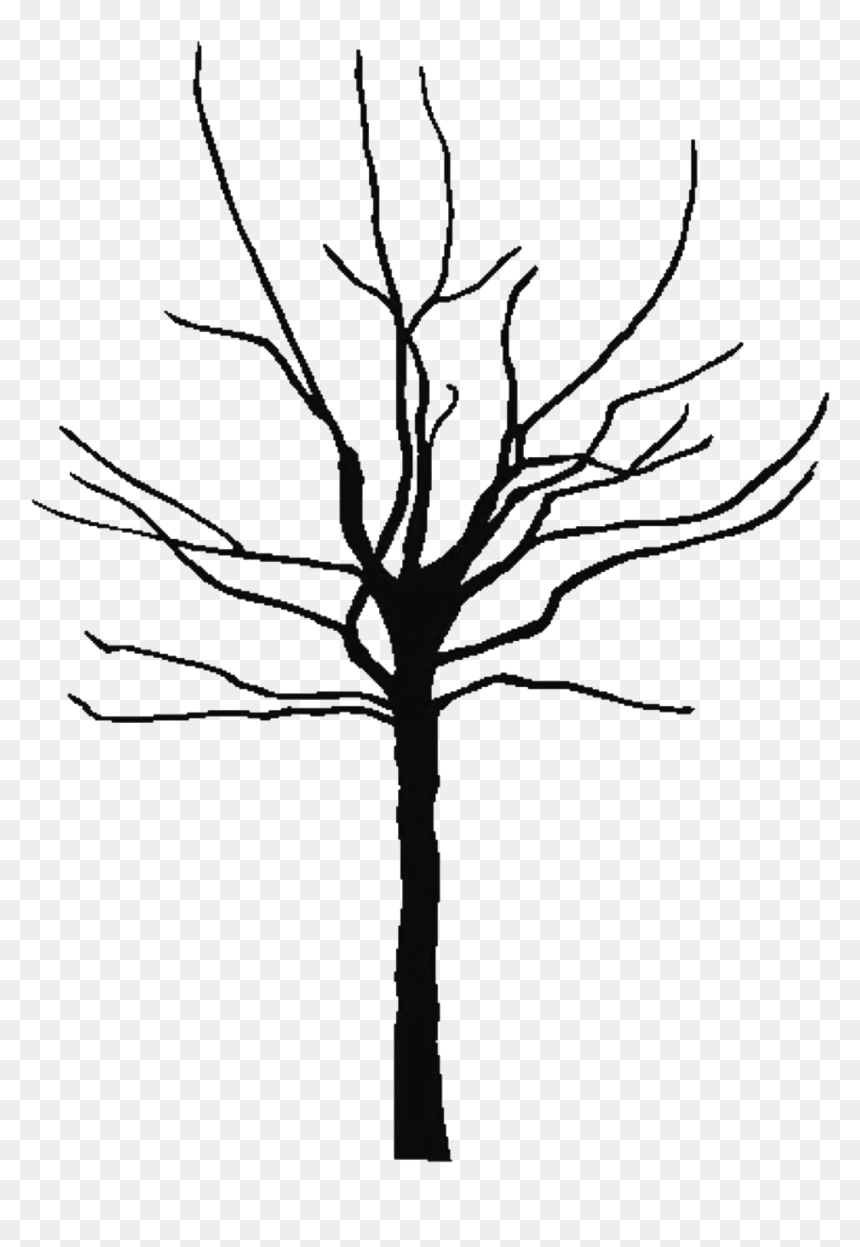 Bare Branch Png - Tree Trunk Silhouette Png, Transparent Png - tree stem png
