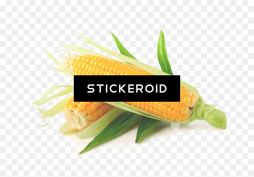 Ferry Morse Fm Foil Ornamental Rainbow Mc Sweet Corn - Fresh Corn, HD Png Download - sweet corn png