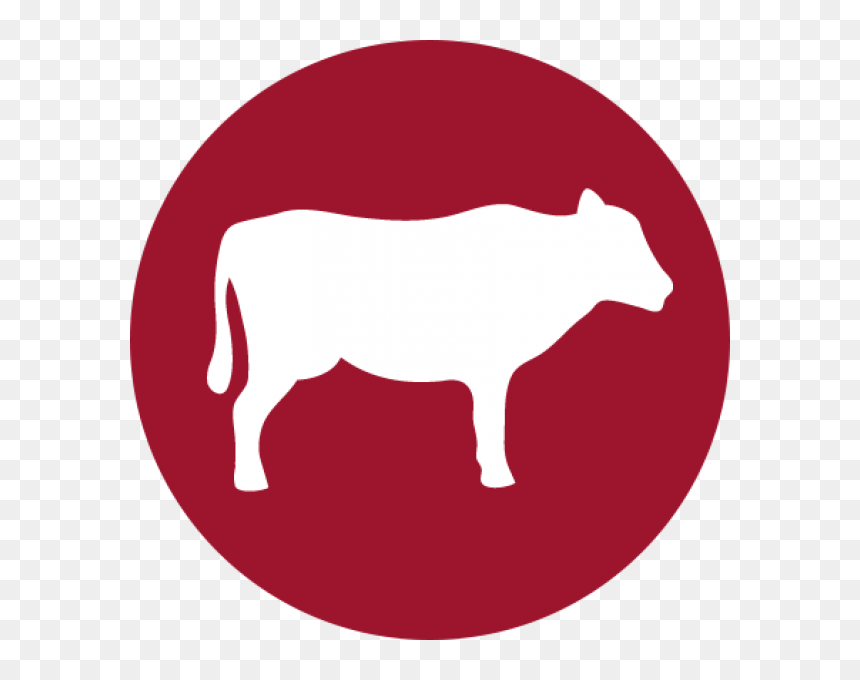 Halo Uses Only Real Whole Meat, Poultry, Or Fish, And - No Red Meat Icon, HD Png Download - real fish png