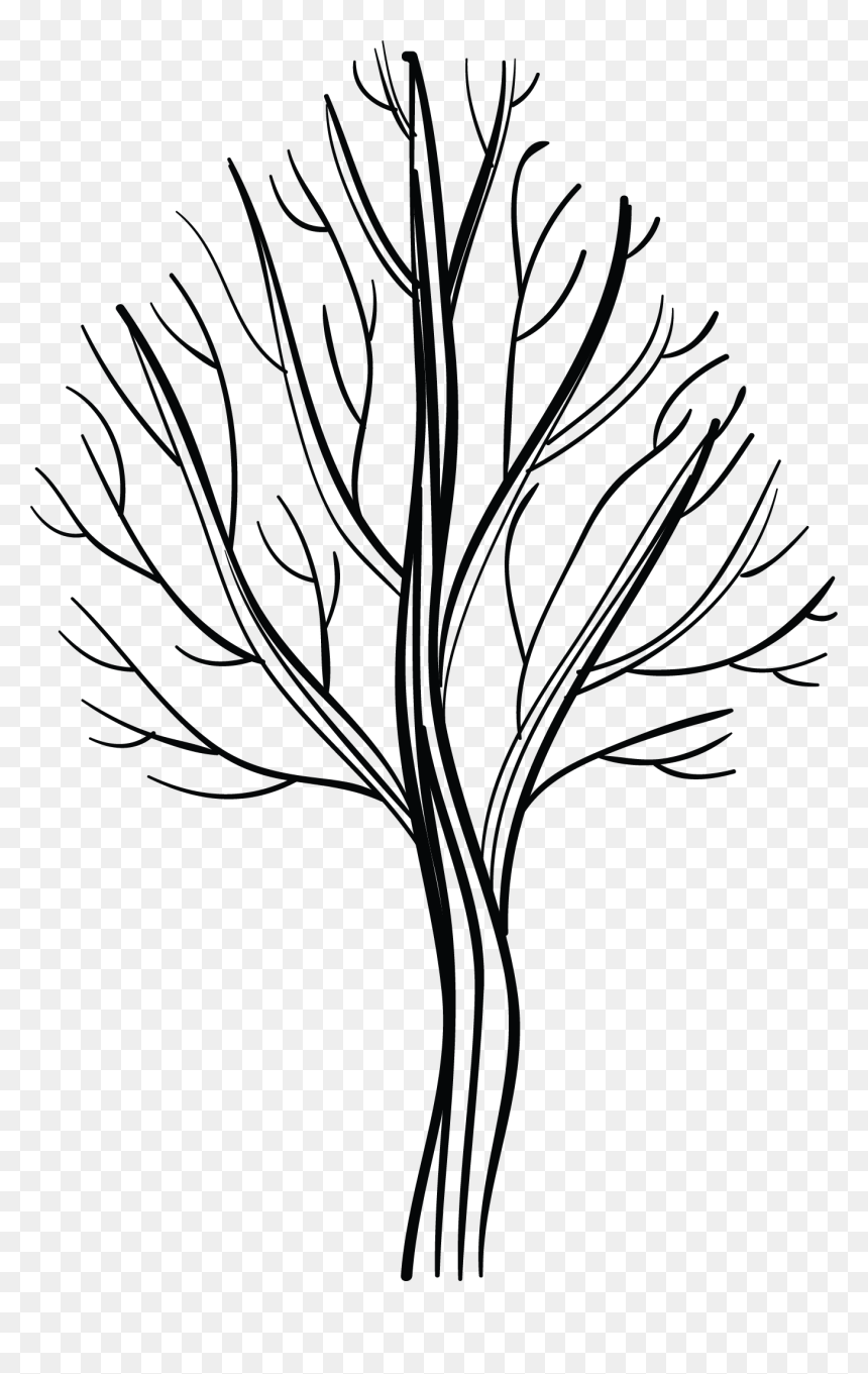 Line Art, HD Png Download - tree stem png