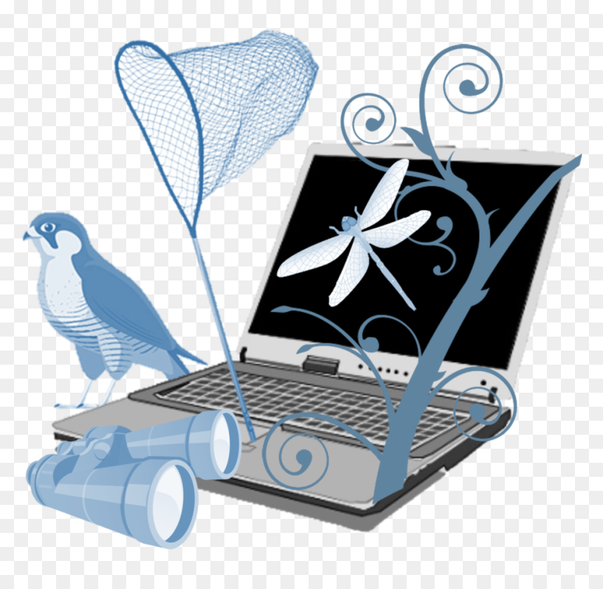 Blog Cutout - Netbook, HD Png Download - indian parrot png