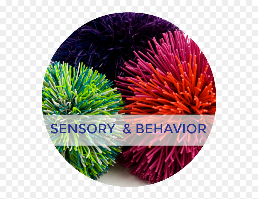 Welcome To Growing Hands-on Kids - Vestibular System, HD Png Download - welcome images with hands png