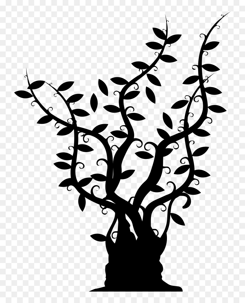 Tree Of Gross Trunk With Long Thin Branches With Leaves - Thin Trunk Tree Black And White, HD Png Download - tree stem png