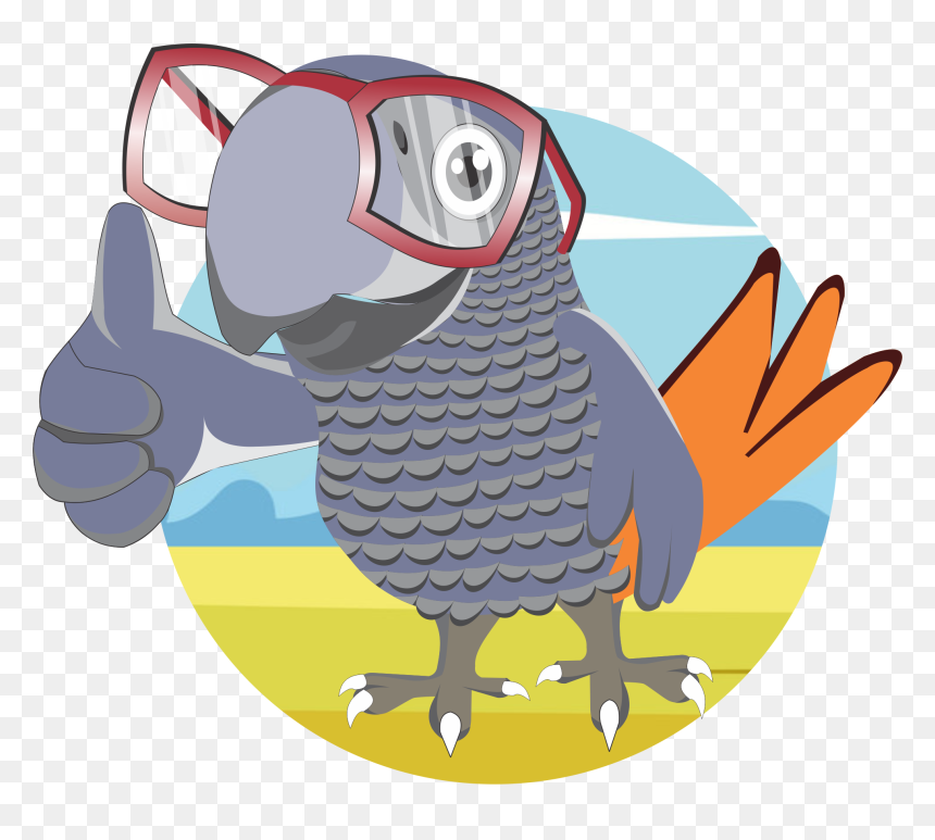 Macaw, HD Png Download - indian parrot png