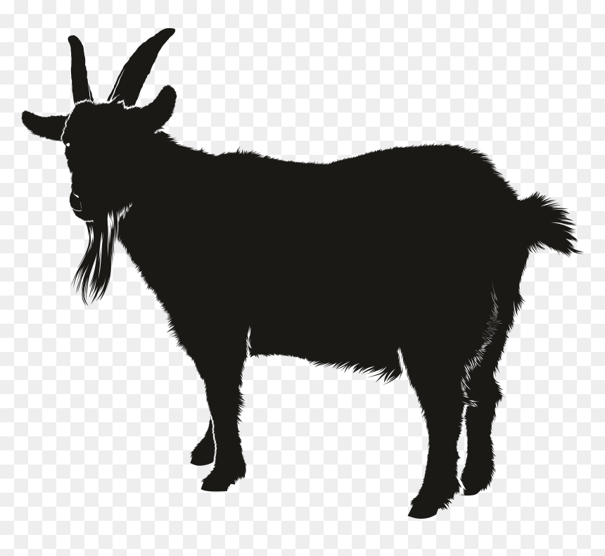 Boer Goat Silhouette Clip Art - Goat Clipart Silhouette, HD Png Download - indian sheep png
