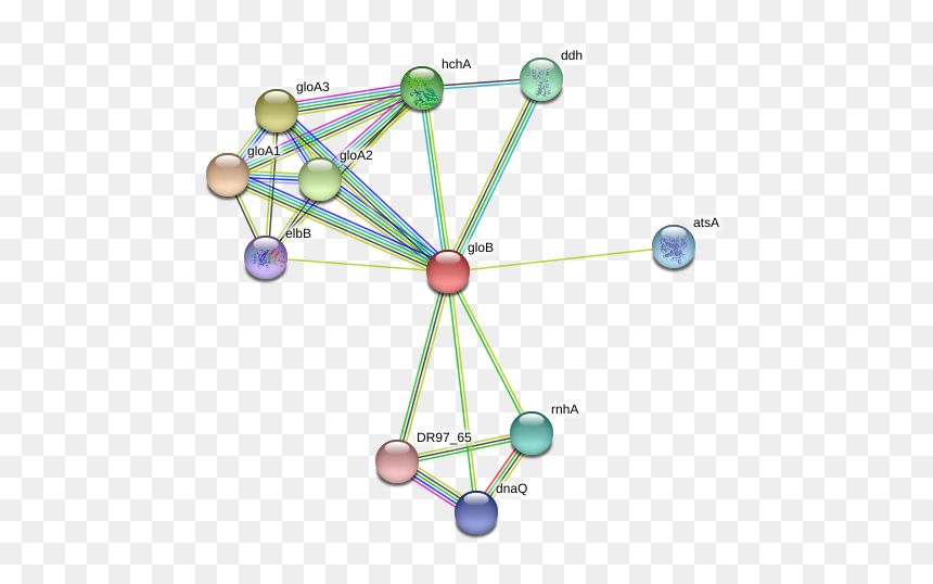 Glob Protein - Circle, HD Png Download - glob png