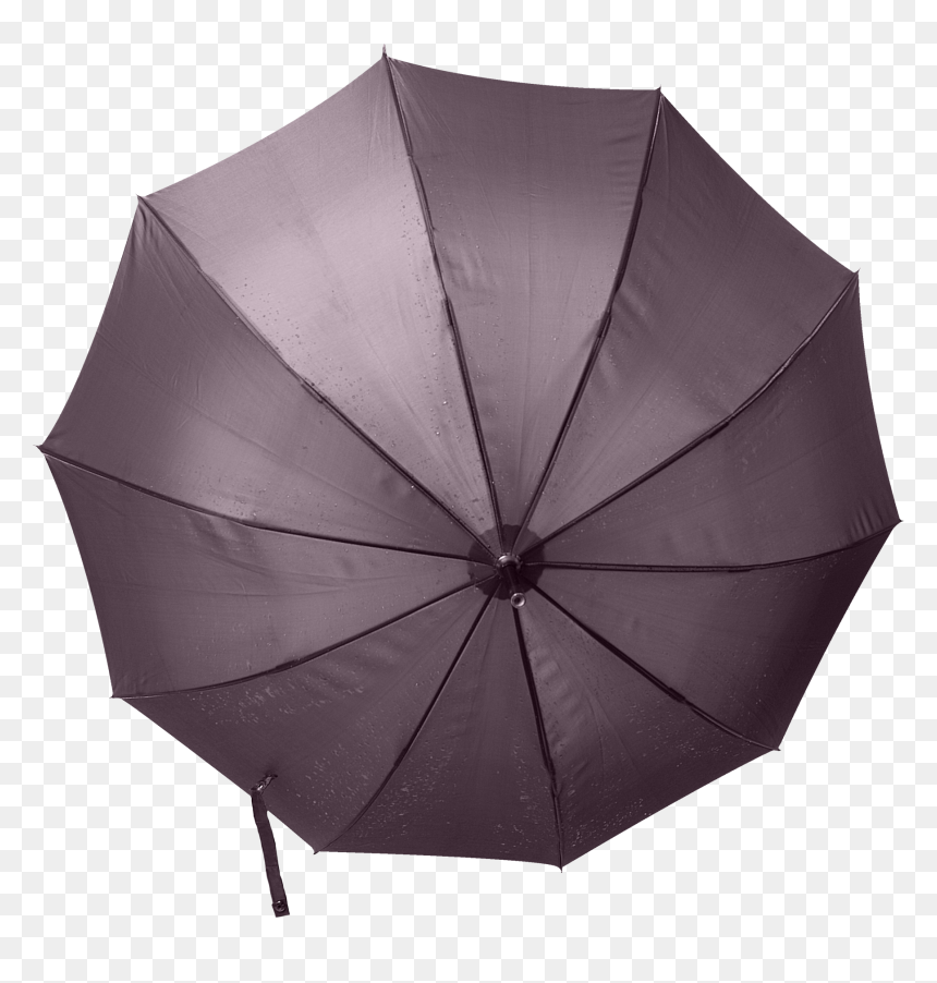 Umbrella Png - Umbrella, Transparent Png - rain umbrella png
