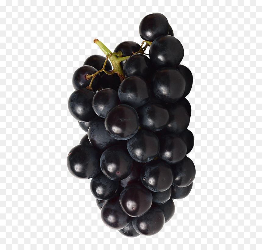 Red And Black Grapes - Seedless Fruit, HD Png Download - black grapes png