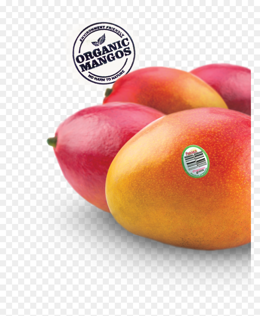 Nectarines, HD Png Download - mangoes png