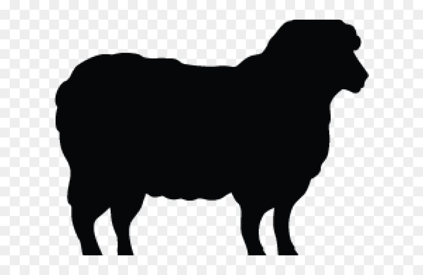 Sheep Silhouette Png, Transparent Png - indian sheep png