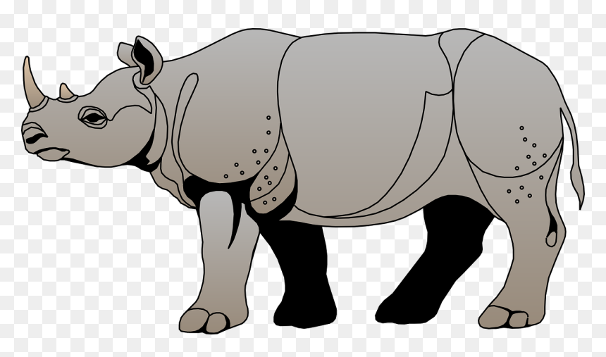 Rhinoceros Clipart, HD Png Download - indian sheep png