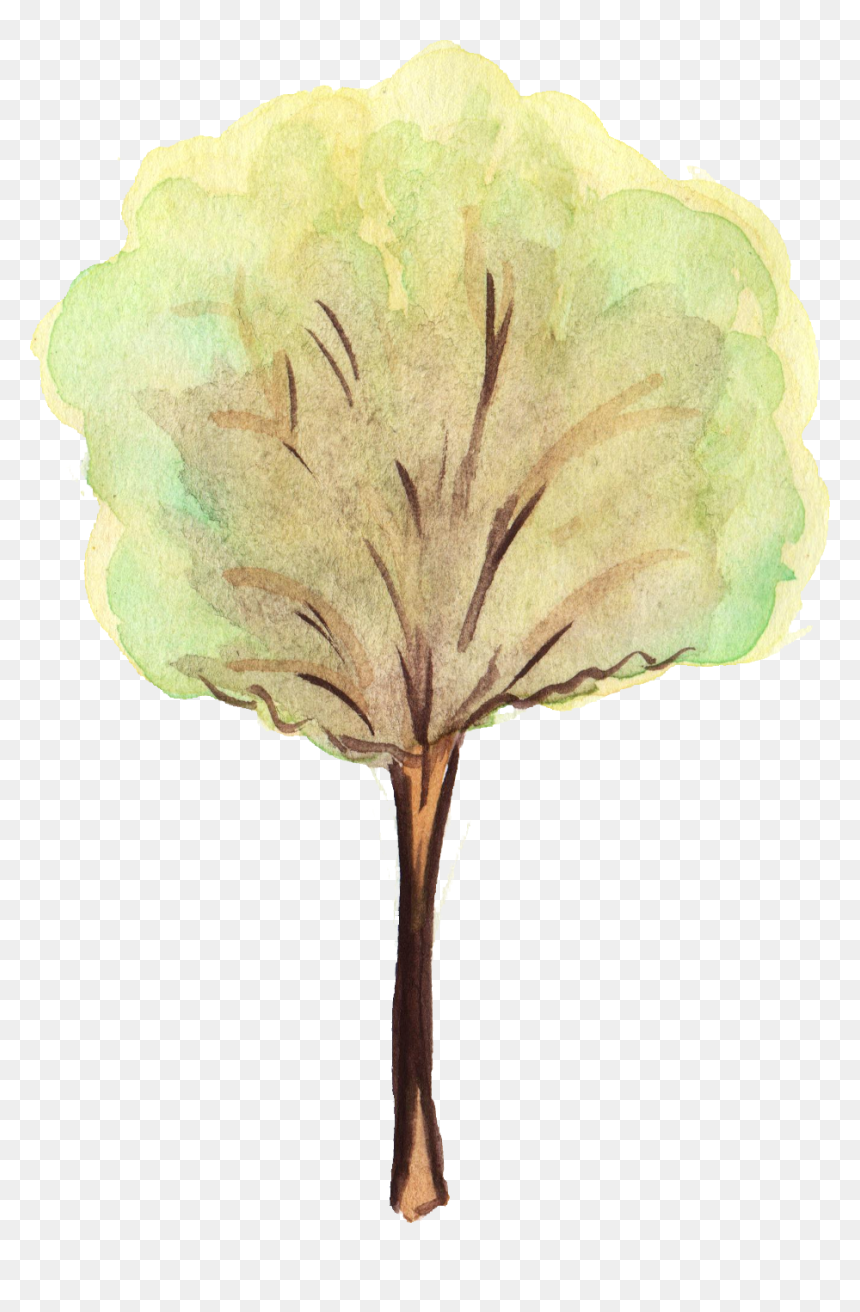 Flower Trees Png - Watercolor Tree Transparent Background, Png Download - flower tree png images
