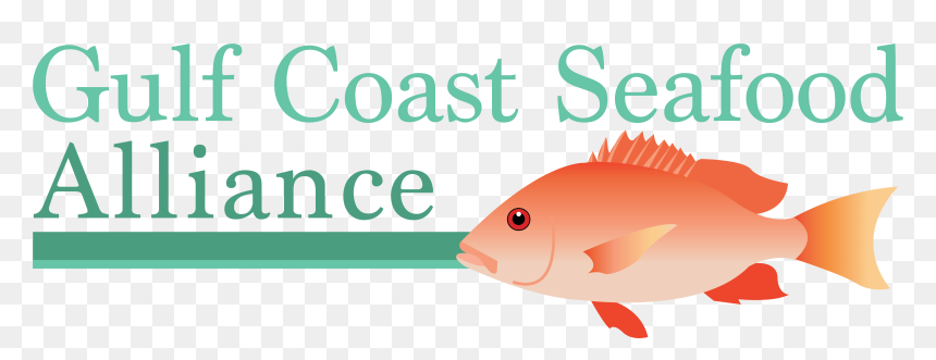 Thank You For Your Interest In The Gulf Coast Seafood - University Of West Florida, HD Png Download - real fish png