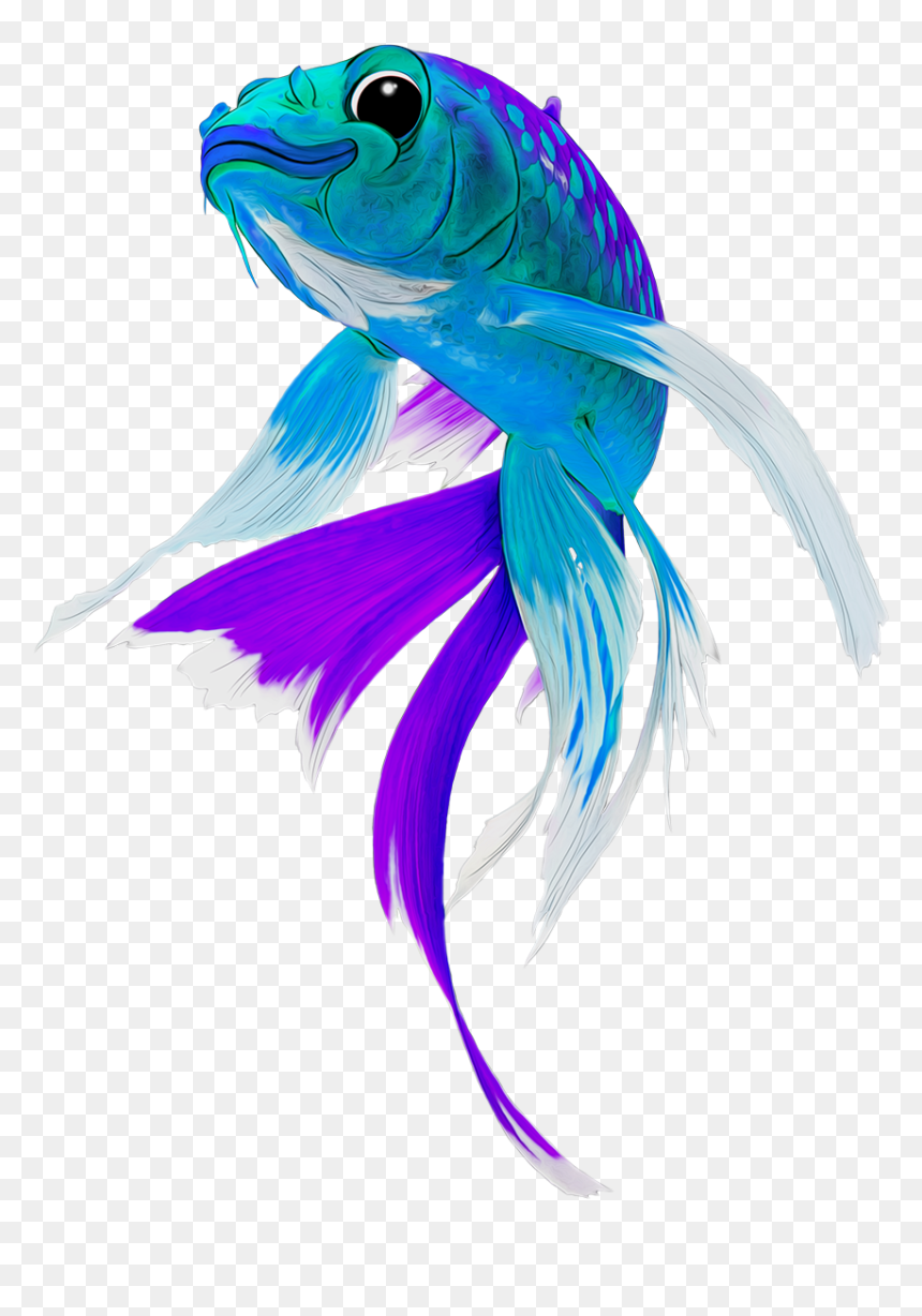 Marine Mammal, HD Png Download - real fish png