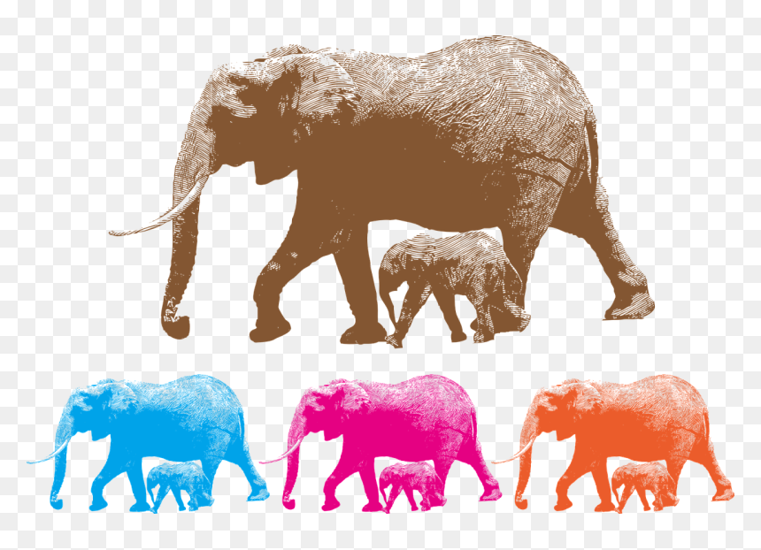 Elephant With Cub Scenic Wallpaper Animals Elephant, HD Png Download - indian sheep png