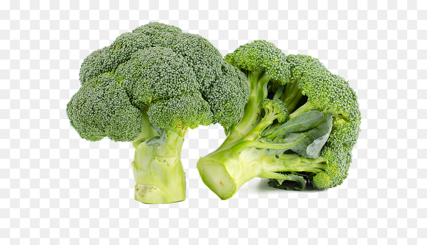 Broccoli, HD Png Download - green vegetables png