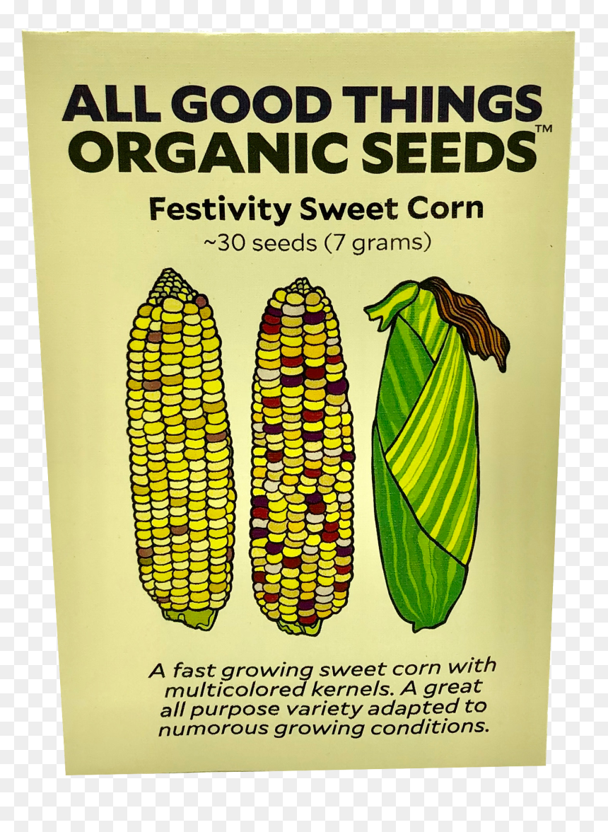 Festivity Sweet Corn"
 Data Image Id="4599177019528"
 - Heirloom Plant, HD Png Download - sweet corn png