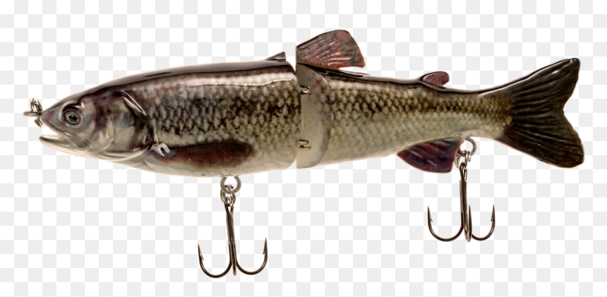 7 - Transparent Fish Bait Png, Png Download - real fish png