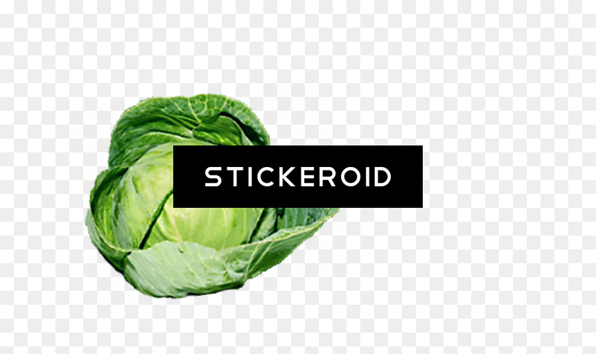Organic Green Cabbage - Cruciferous Vegetables, HD Png Download - green vegetables png