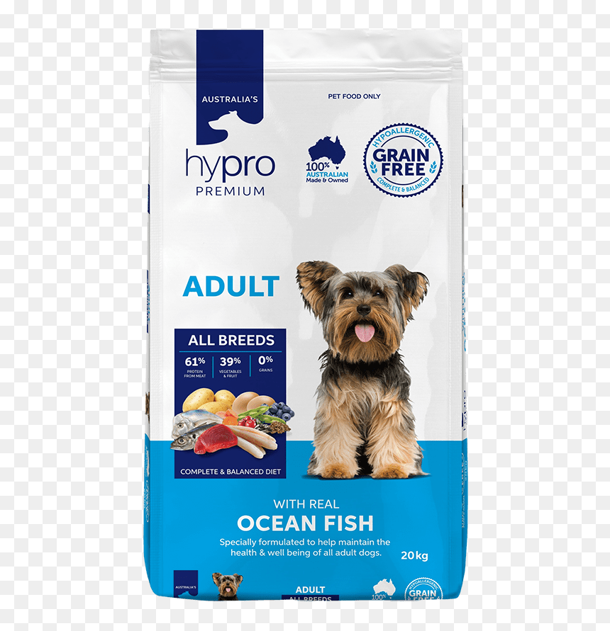 Yorkshire Terrier, HD Png Download - real fish png