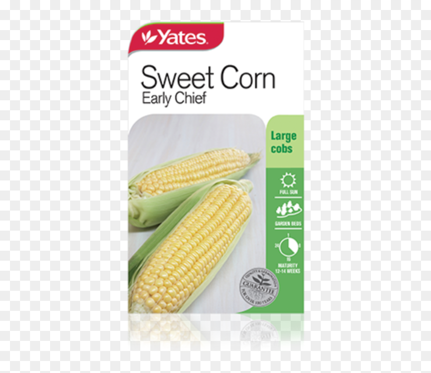 Sweet Corn Early Chief - Yates Sweet Corn, HD Png Download - sweet corn png