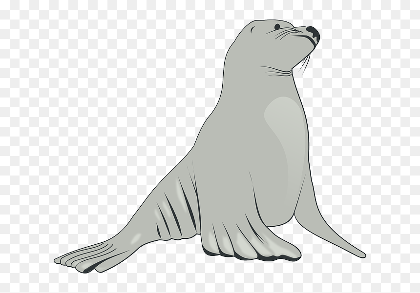 Sea Lion Clipart, Png Download - Clipart Sea Lion, Transparent Png - angry lion png images