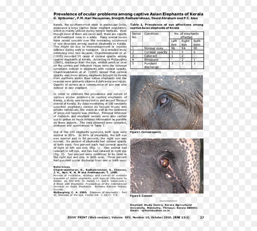 Turkey, HD Png Download - kerala elephant png